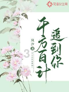 王国英雄2